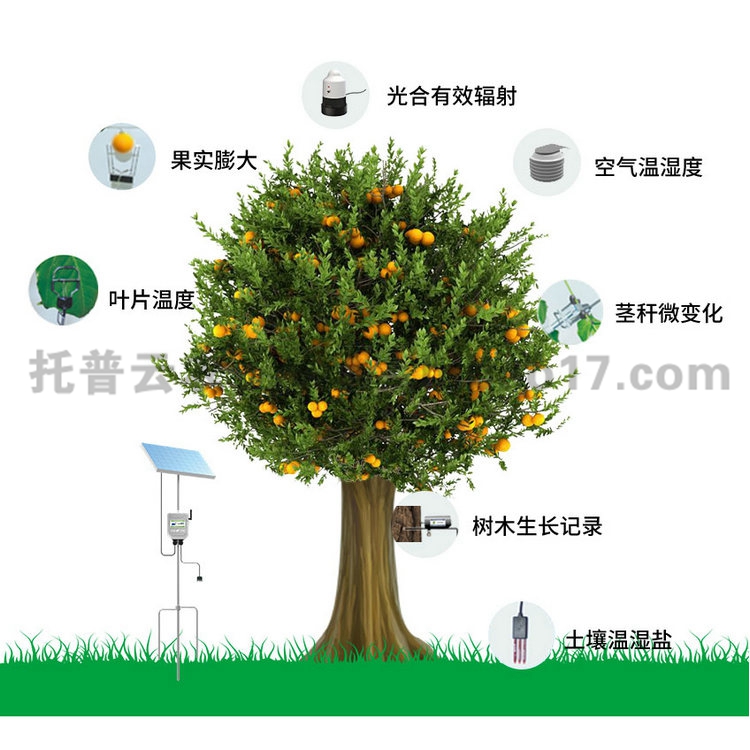 植物生理生態監測系統 TP-ZWSL